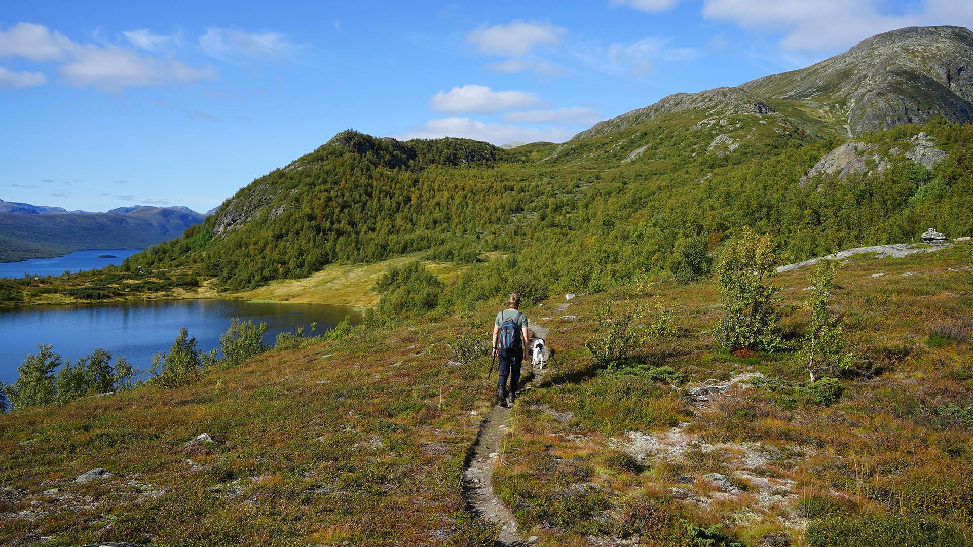 A person walks with his dog along a path through heather vegetation towards a hill. Two blue lakes are seen to the left. Blue skies.