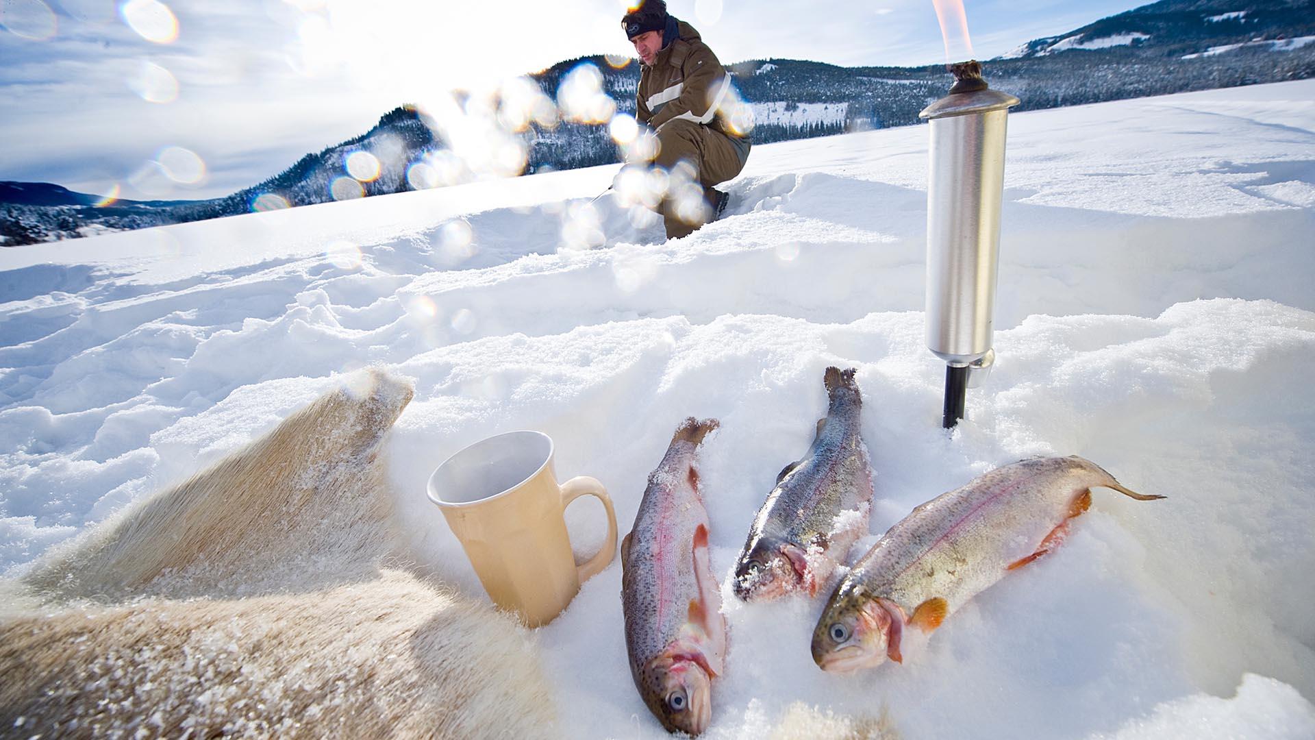 Fersk fiskede ørreter, saueskinn, fakkel og kaffekopp på snødekt vann med isfisker i bakgrunnen.