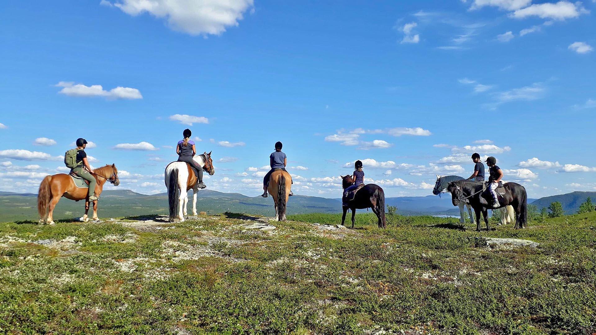 Sechs Reiter auf dem Pferderücken von hinten gesehen, die inweite Berglandschaft schauen