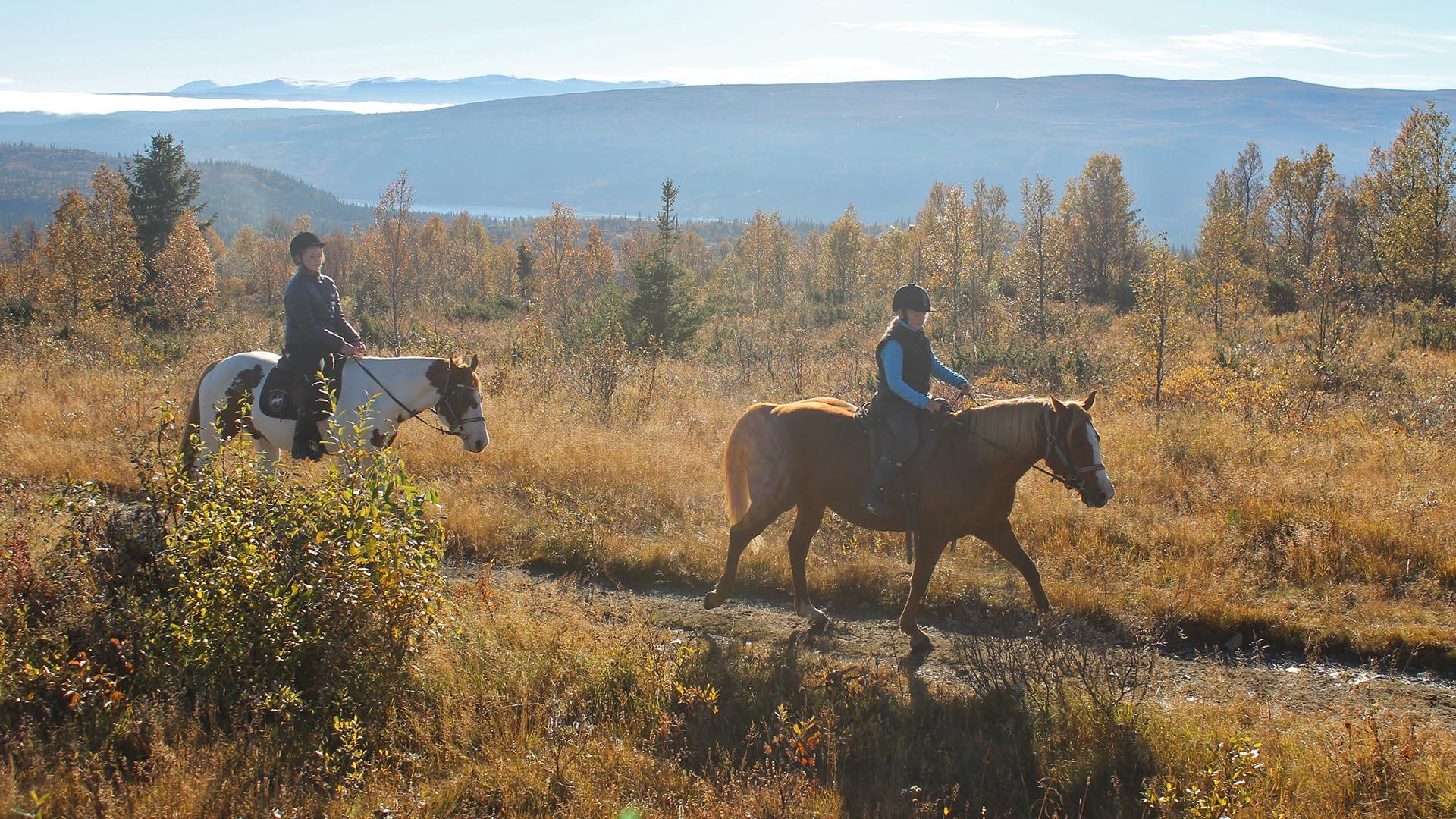Two riders on horseback on a trail through yellow-coloured autumn landscape