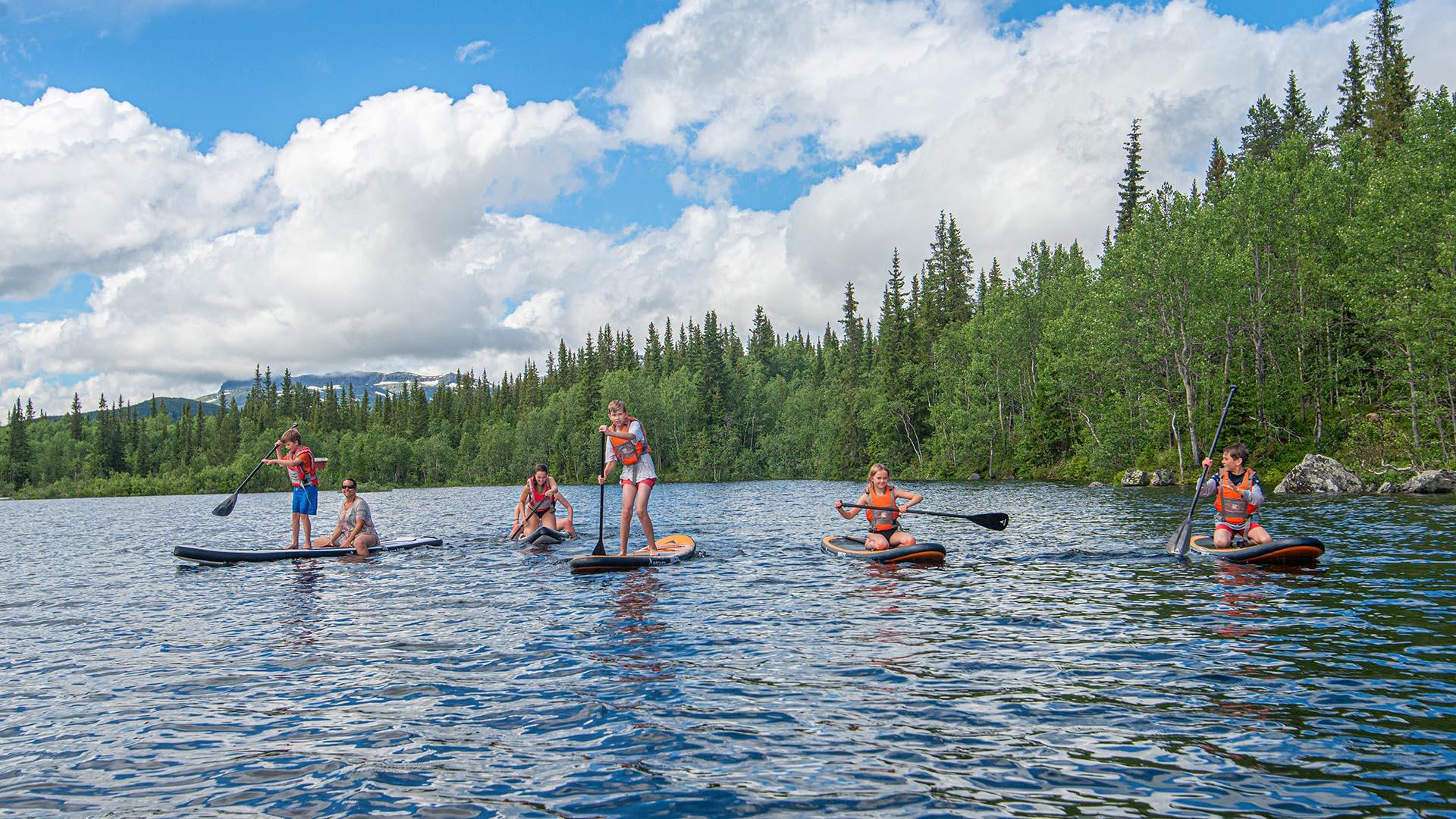 Fünf Paddler auf je seinem SUP-Brett auf einem See mit Wald am Ufer und Bergen in der Ferne.