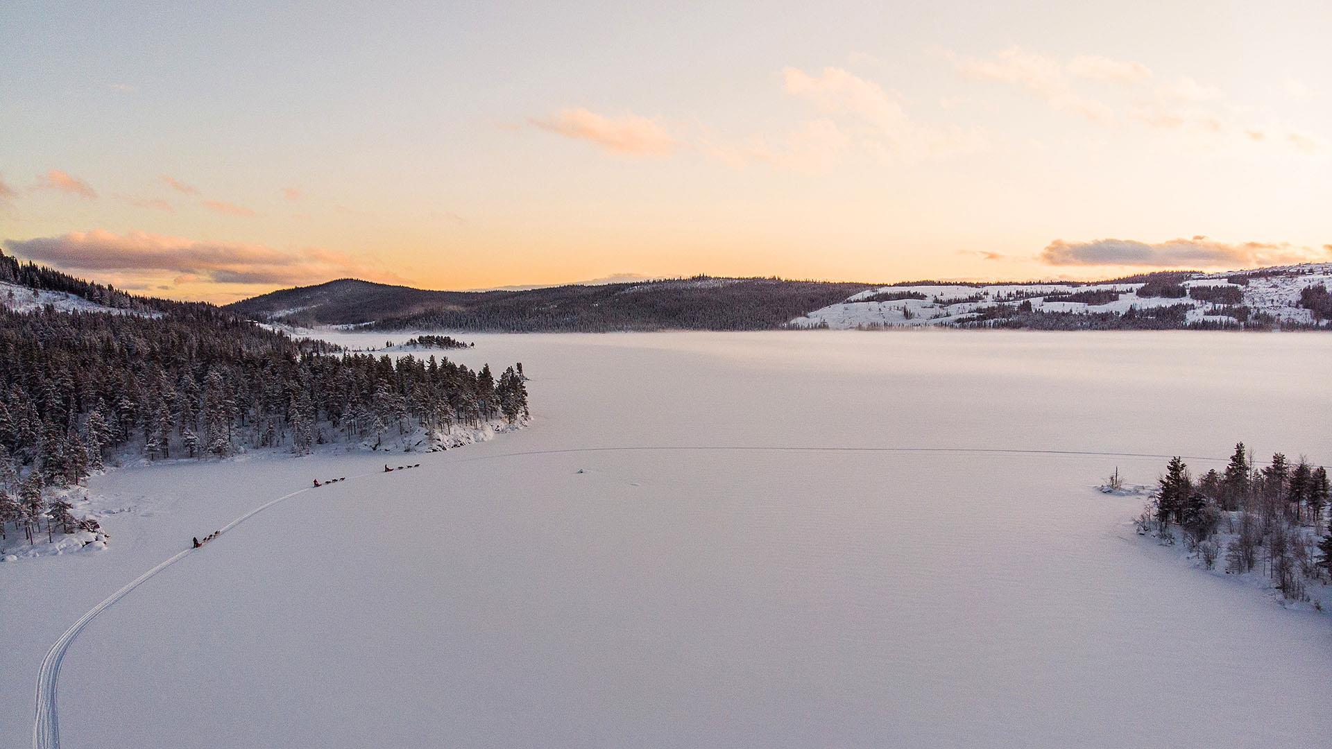 Dronenaufnahme dreier Hundegespanne auf einem großen, schneebedeckten See in Wald- und Berglandschaft. Die untergehende Sonne zeichnet weiche, warme Farben.