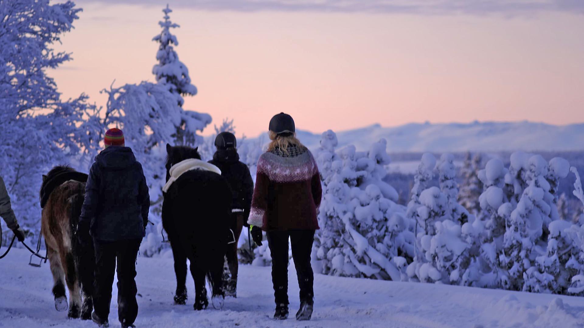 Eine Gruppe Reiter führt die Pferde am Halfter auf einer verschneiten Straße mit schneebedeckten Fichten im weichen Abendlicht nach Sonnenuntergang
