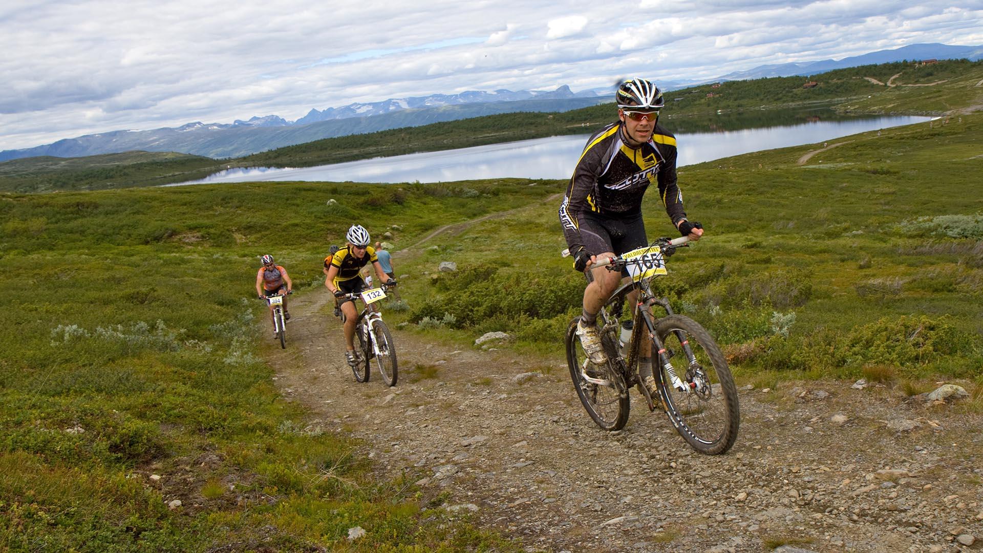 Offroad-cyclists during a mountain biking race in high country landscape