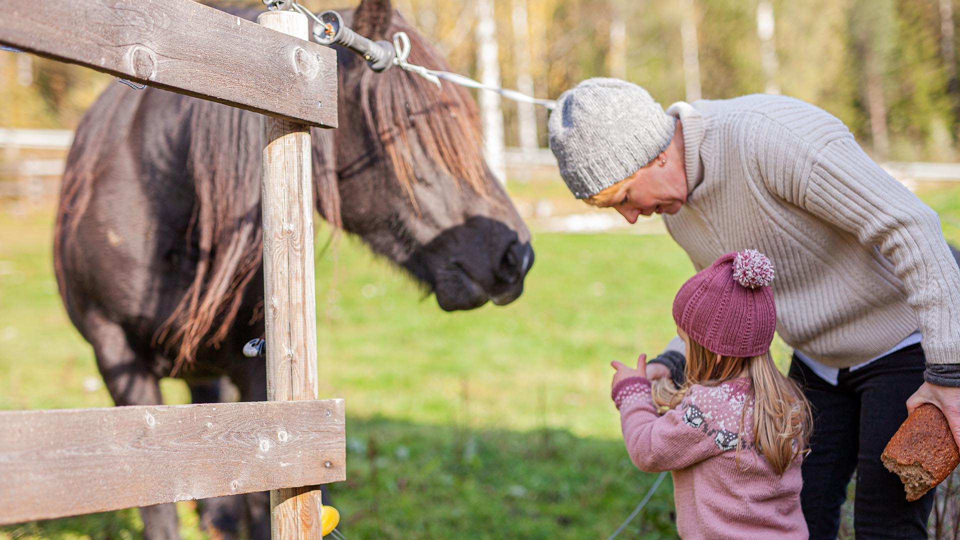 Girl meets horse at a farm