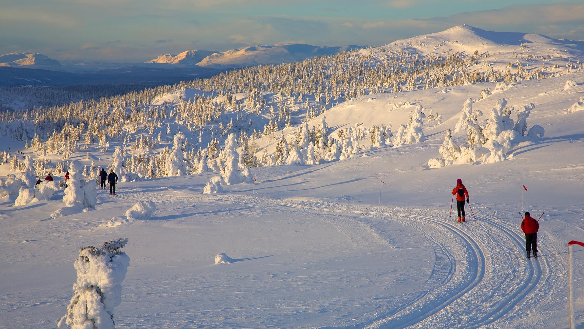 Folk i skiløypene på Aurdalsåsen, med flott utsikt