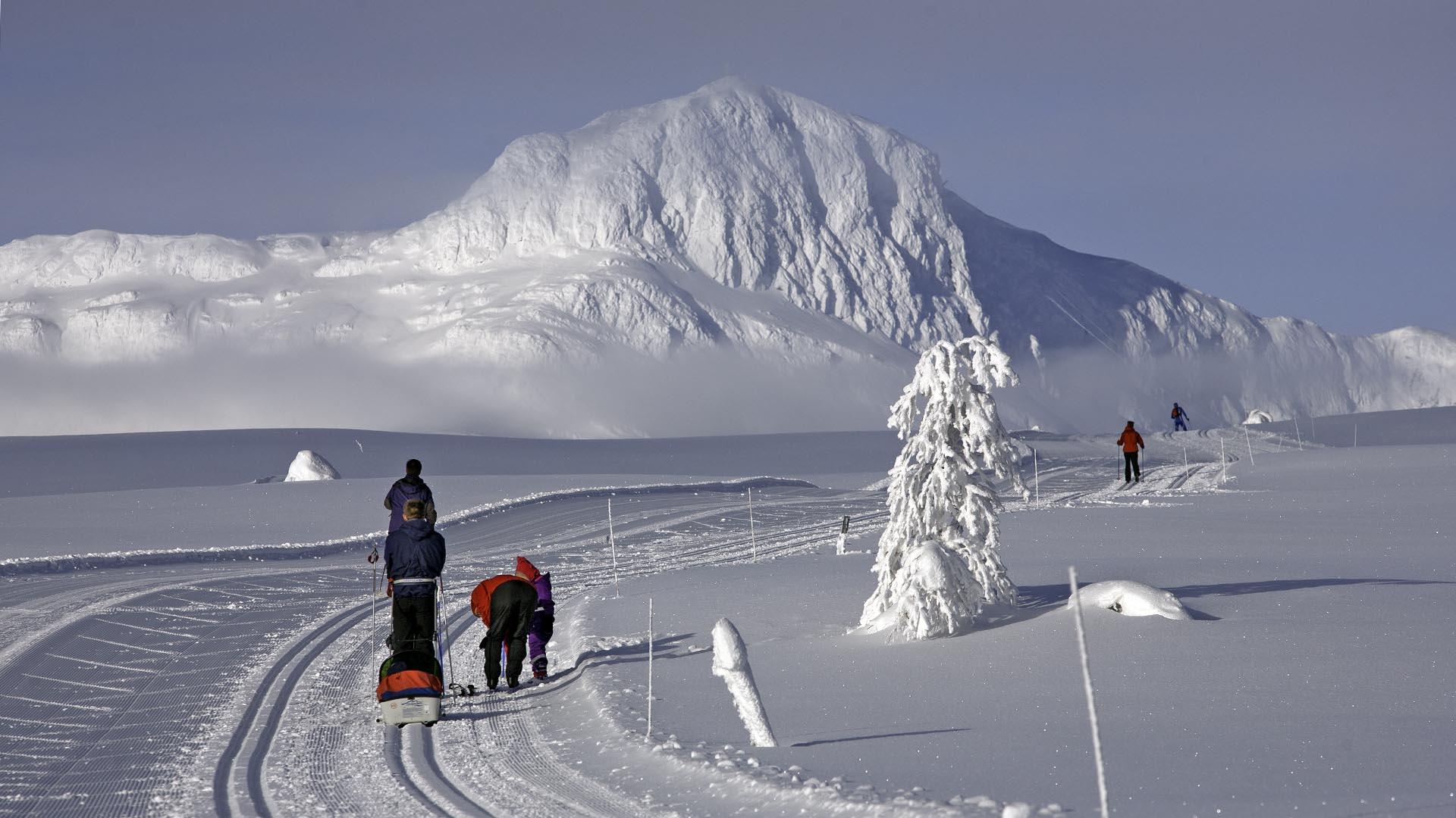 Skiløpere med Bitihorn i bakgrunnen