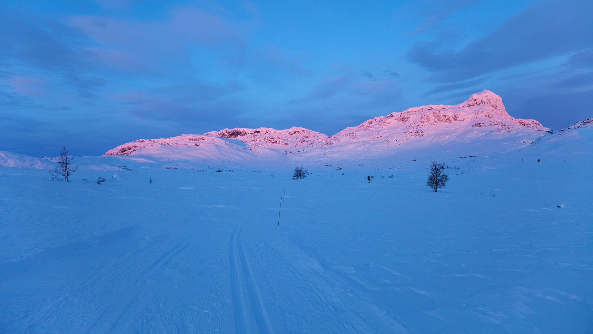 Sonnenaufgang im Winterfjell. Die ersten Sonnenstrahlen färben einen Berg rosa, während die Skiloipe im Vordergrund noch in tiefblauem Schatten liegt.