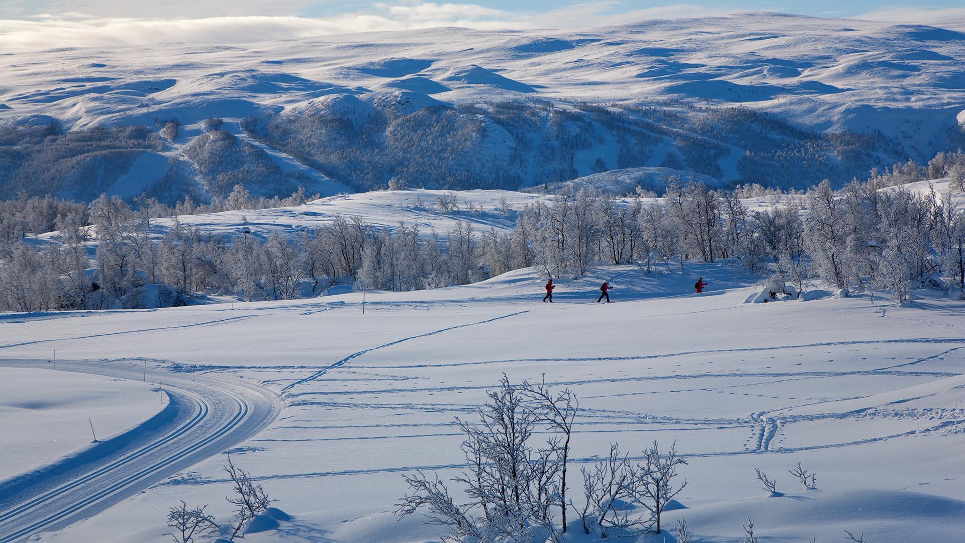 Hügelige, verschneite Gebirgslandschaft mit einer frisch gespurten Loipe und Skilangläufern.