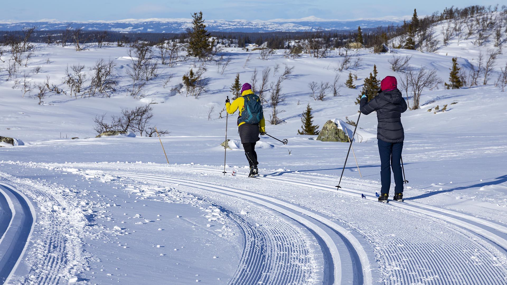 Skiers on tour in Hedalen