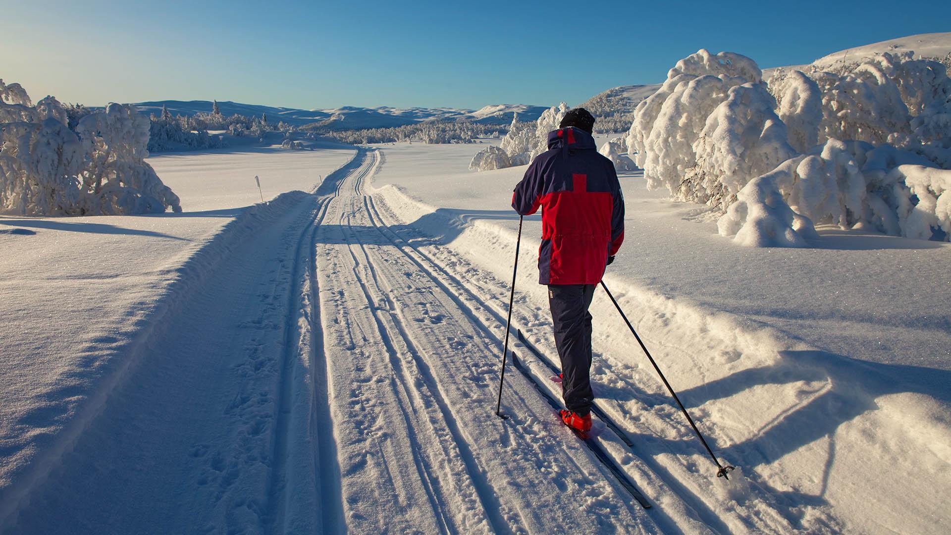 Mann på skitur i Tisleidalen med utsikt mot snødekte trær og vidde foran seg.