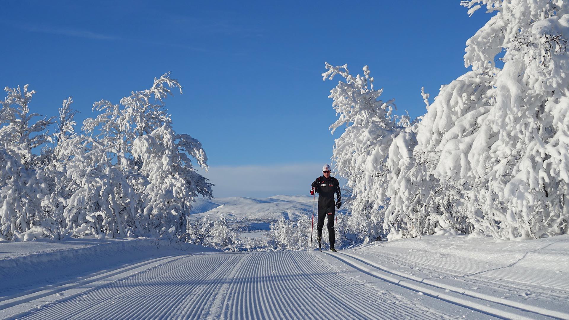 Mann på skitur mellom snødekte trær.