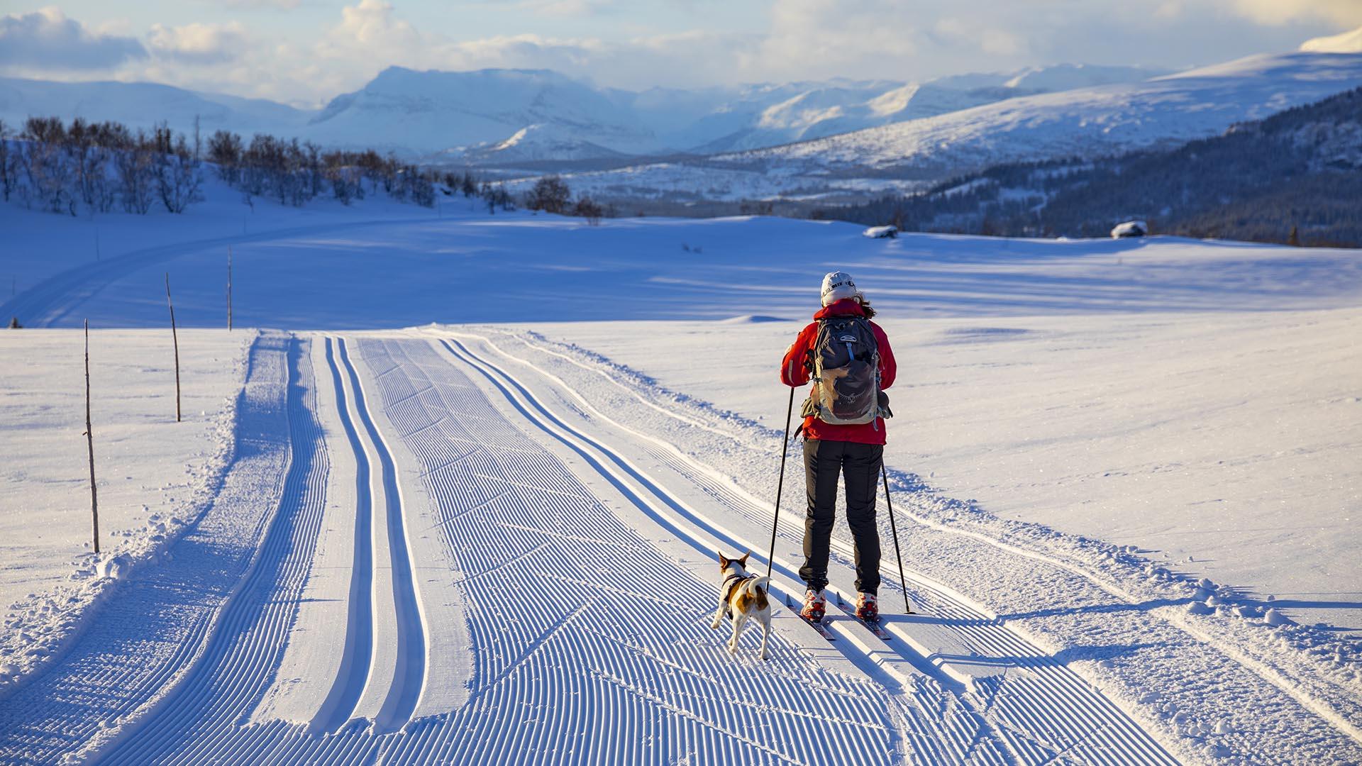 Person på skitur med hund i preparerte skiløyper i flatt landskap. Fjell ses i bakgrunnen.