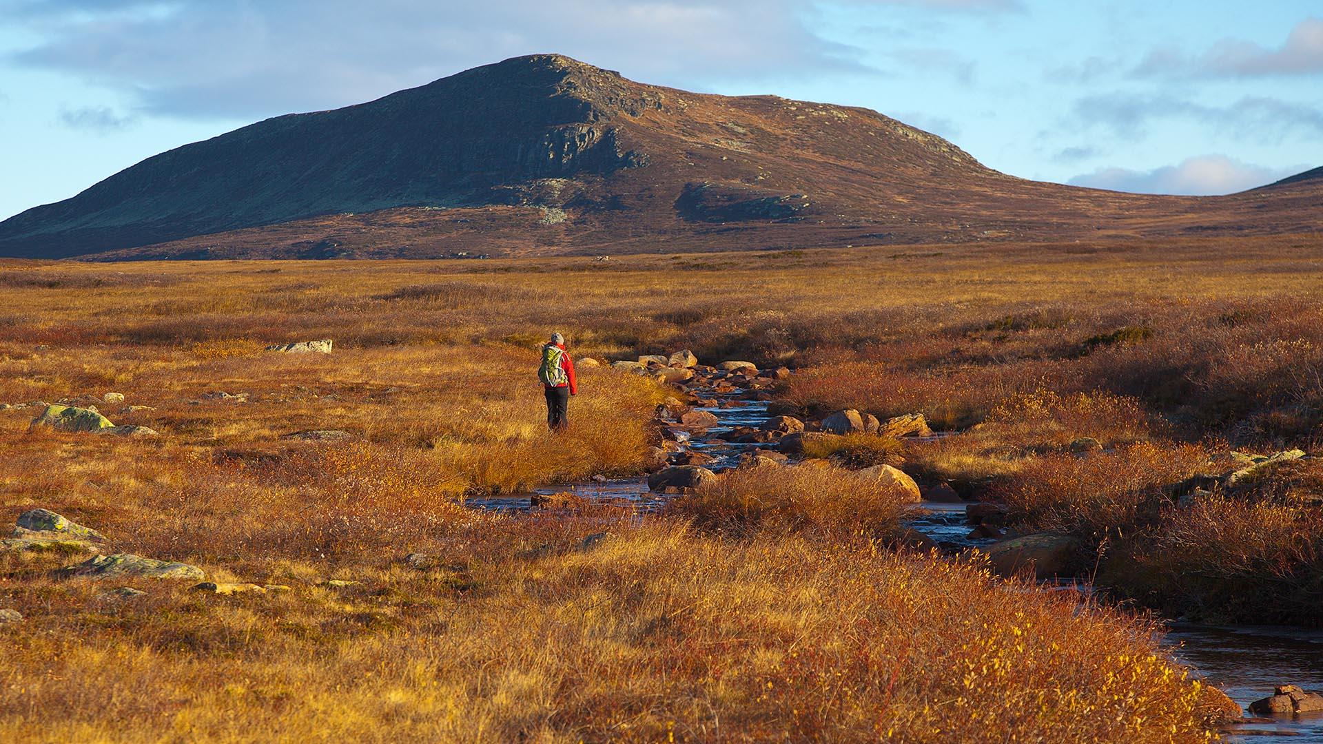 A person on a hiking trip on the plains of Langsua with Buatinden in the background.