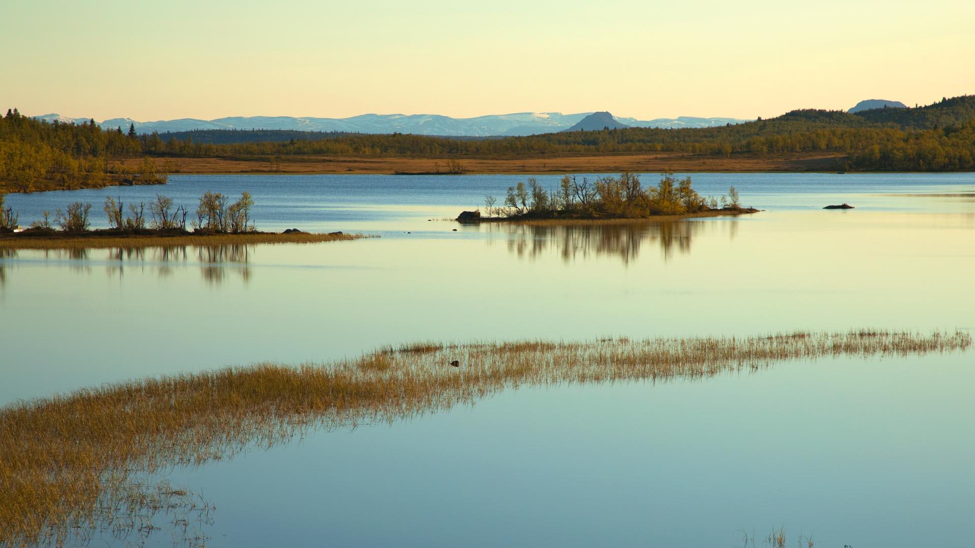The lake Sæbu-Røssjøen in Langsua national park
