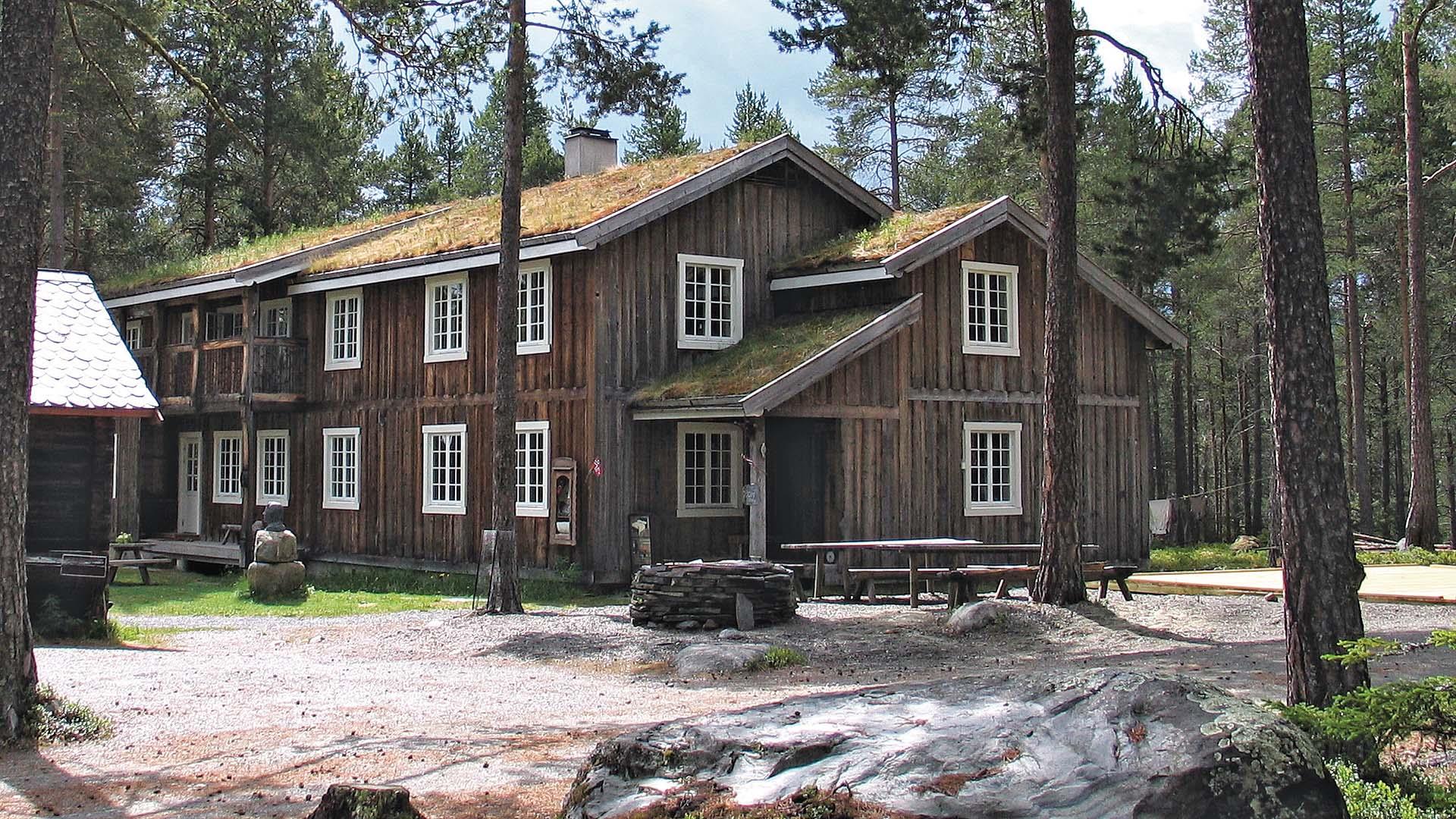 Ein zweistöckiges naturbraunes Holzhaus mit Grasdach und weißen Fensterrahmen in lichtem Kiefernwald