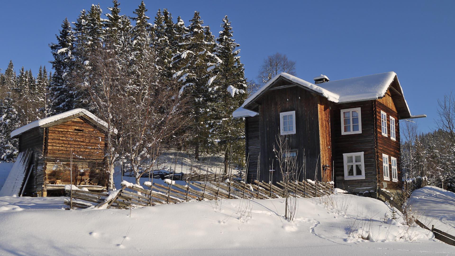 En mørkebrun laftehytte med uthus, skigard og en klynge grantrær bakenfor. Vinter, sol og snø.