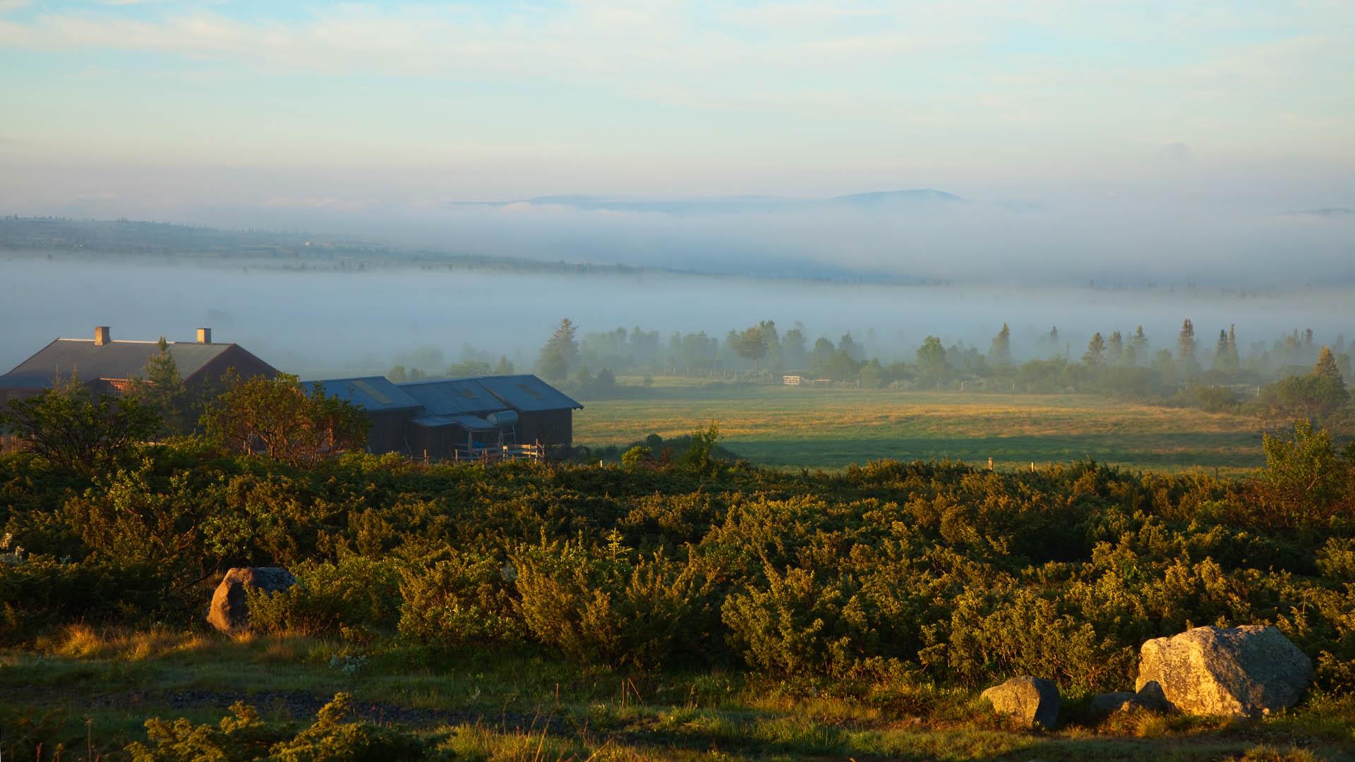 Morning scene on a mountain farm with pasture, farm house and juniper bushes as the sun breaks through the morning mist.
