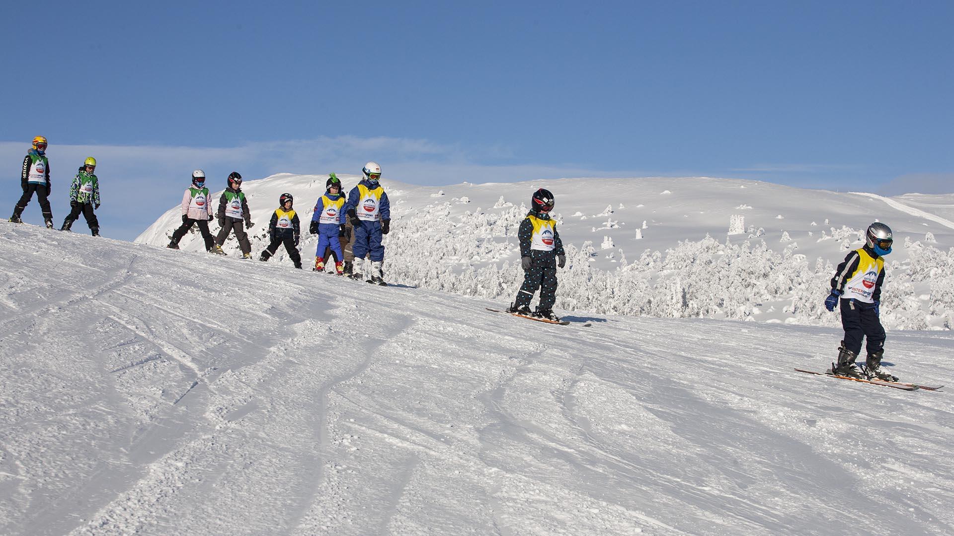 A group of children is following the skiing instructor downhill in the slope