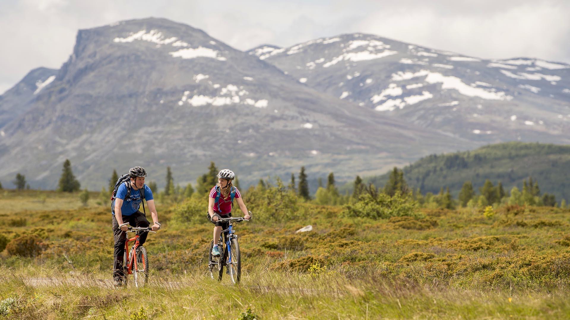 To syklister i åpent fjellandskap ved tregrensa med noen massive fjell ruvende i bakgrunnen.