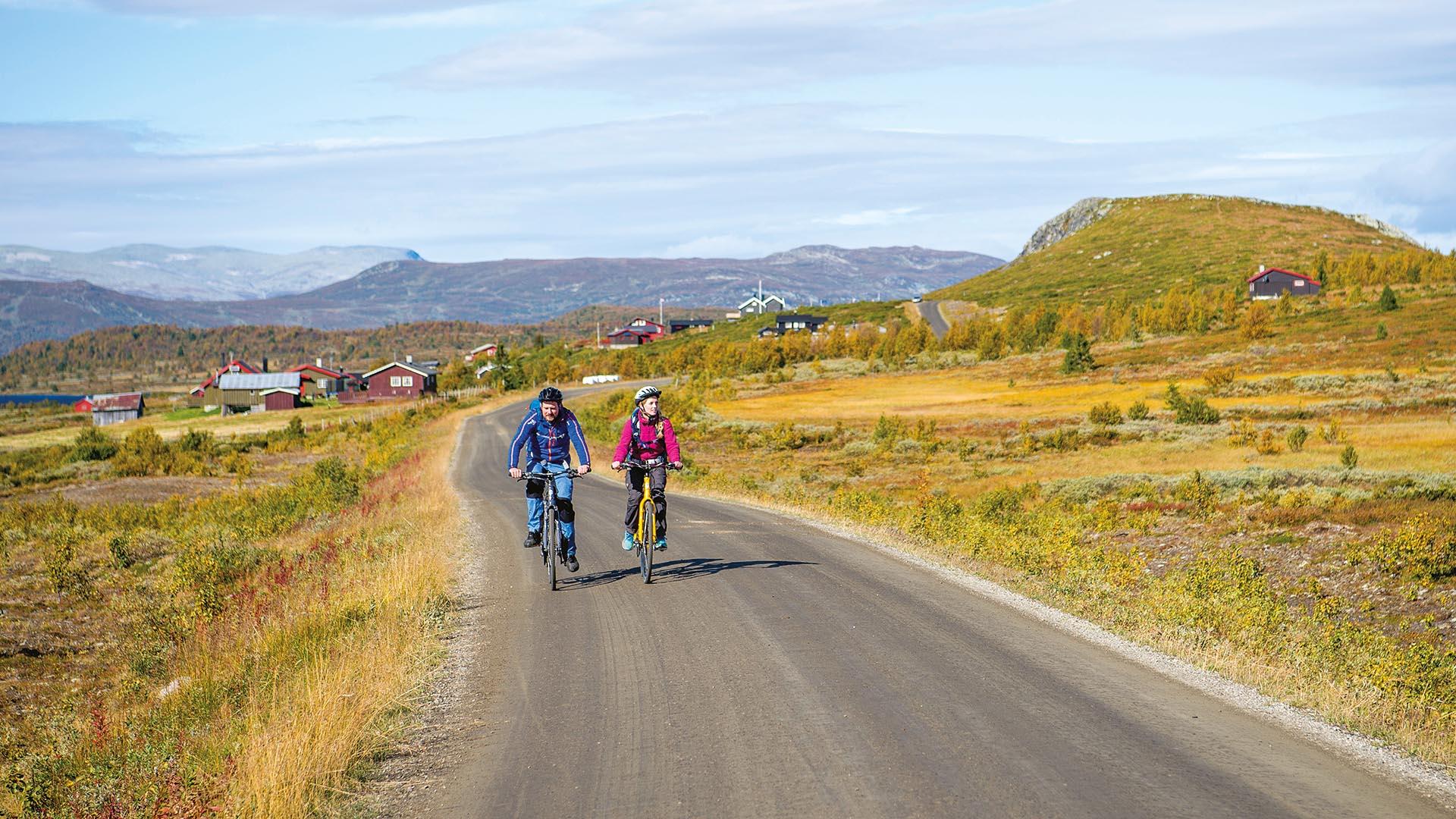 To syklister langs en stølsvei på en høyslette i høstfarger.