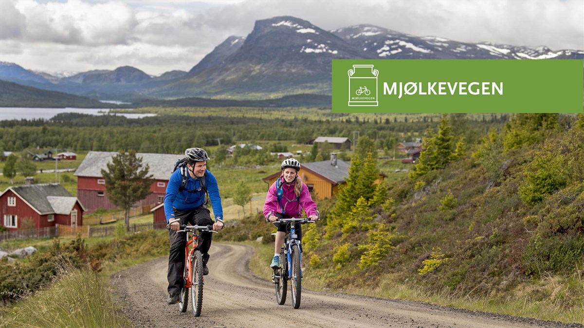 Mjølkevegen
