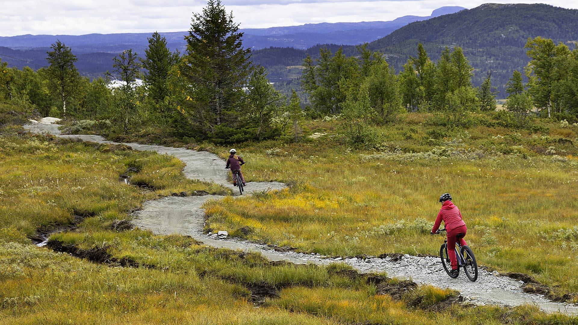 To jenter på terrengsykkel i en bærekraftig anlagt downhill sykkelløype gjennom gul-oransje høstvegetasjon.