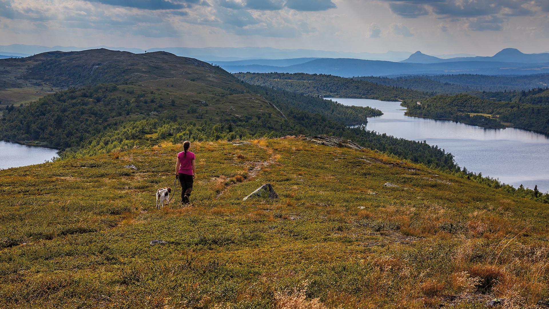 En dame på fjelltur med hunden sin på en bred rygg mellom to vann. I det fjerne flere fjell og skyet himmel.