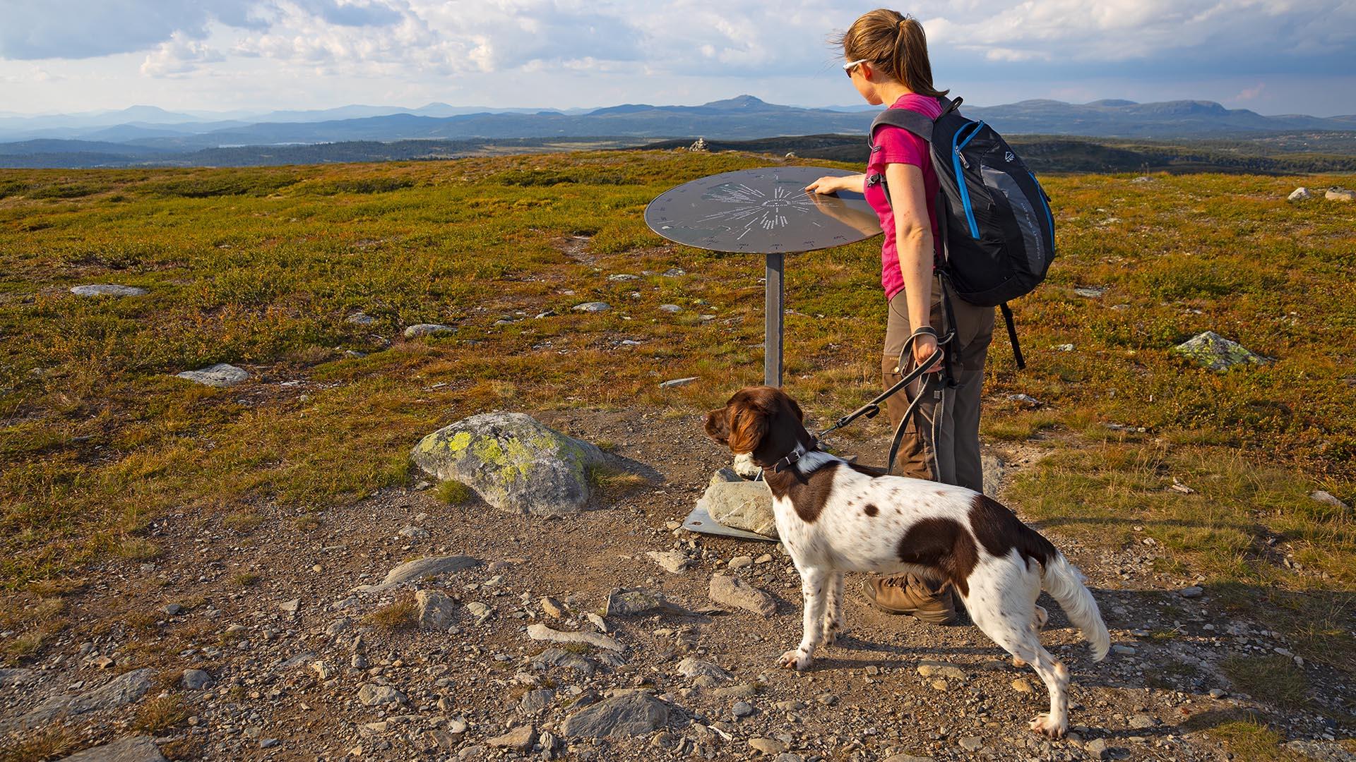 En dame i t-skjorte med ryggsekk og hund i bånd studerer en sikteskive som viser navnene på fjell hun ser i fjerne.