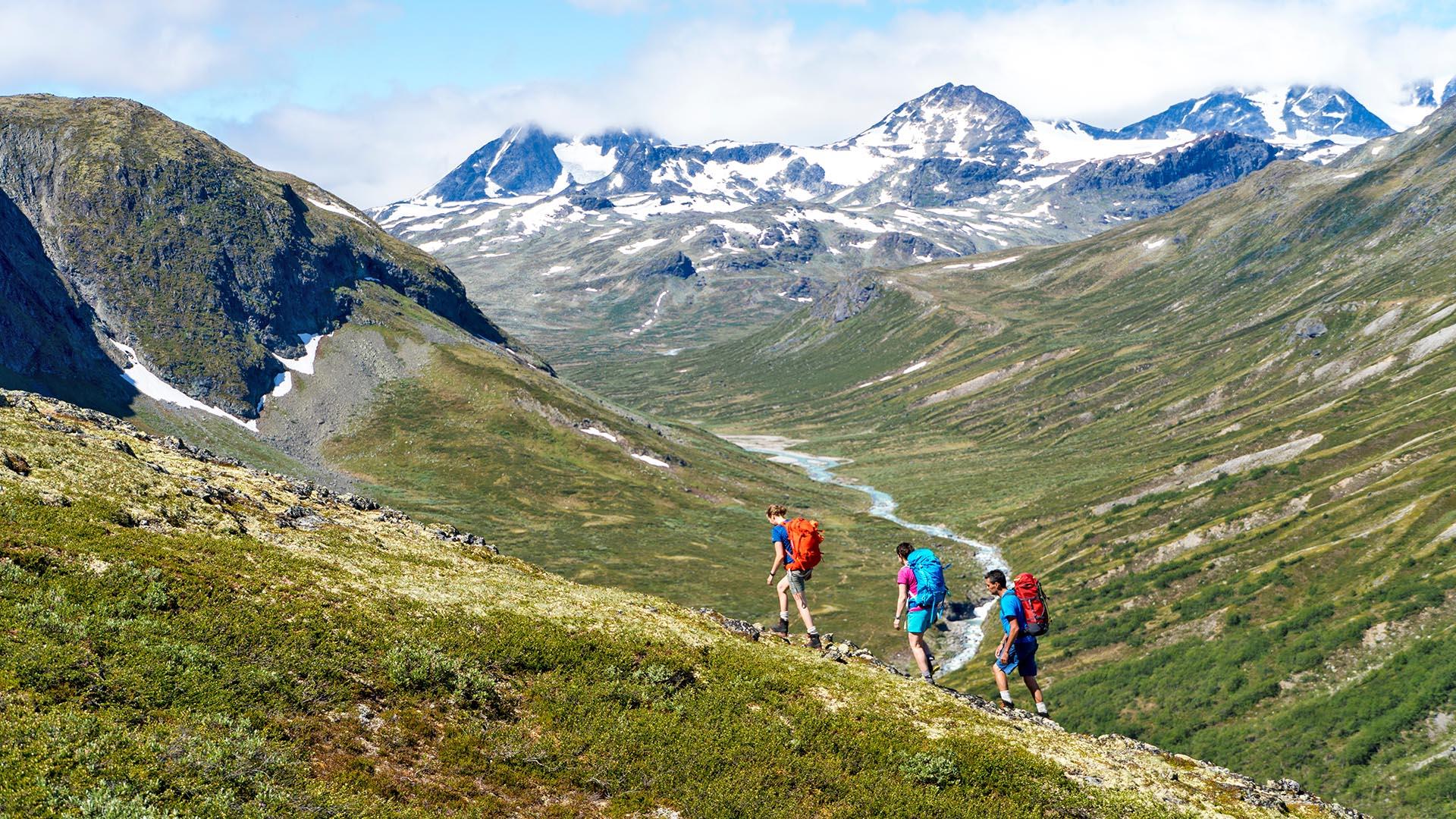 Tre vandrere på en grønn fjell-li foran en dal med en breelv og høye fjell.