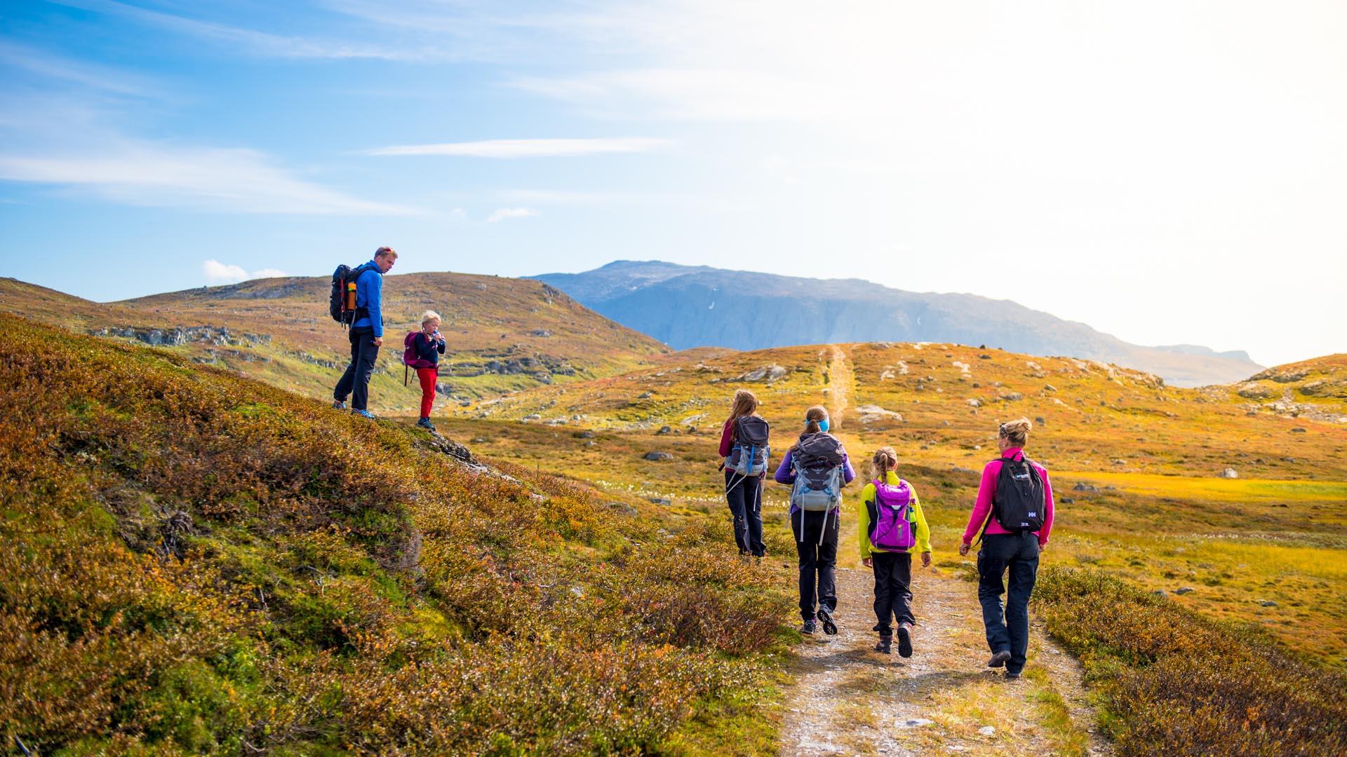 A group of hikers on a broad path which is a historic road over a mountain plateau. The autumn sun is shining.