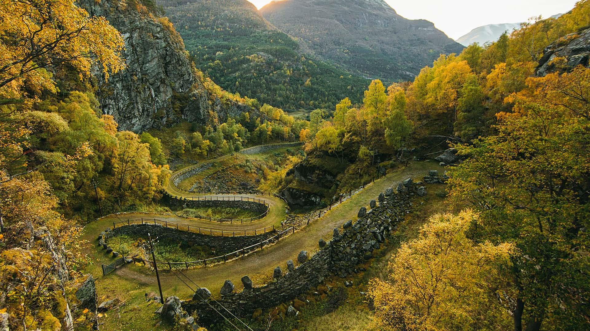 A historical road with grass cover is built up with walls, winding down a hillside in hairpin bends. The birch trees glow in yellow autumn colours in the low sunlight.