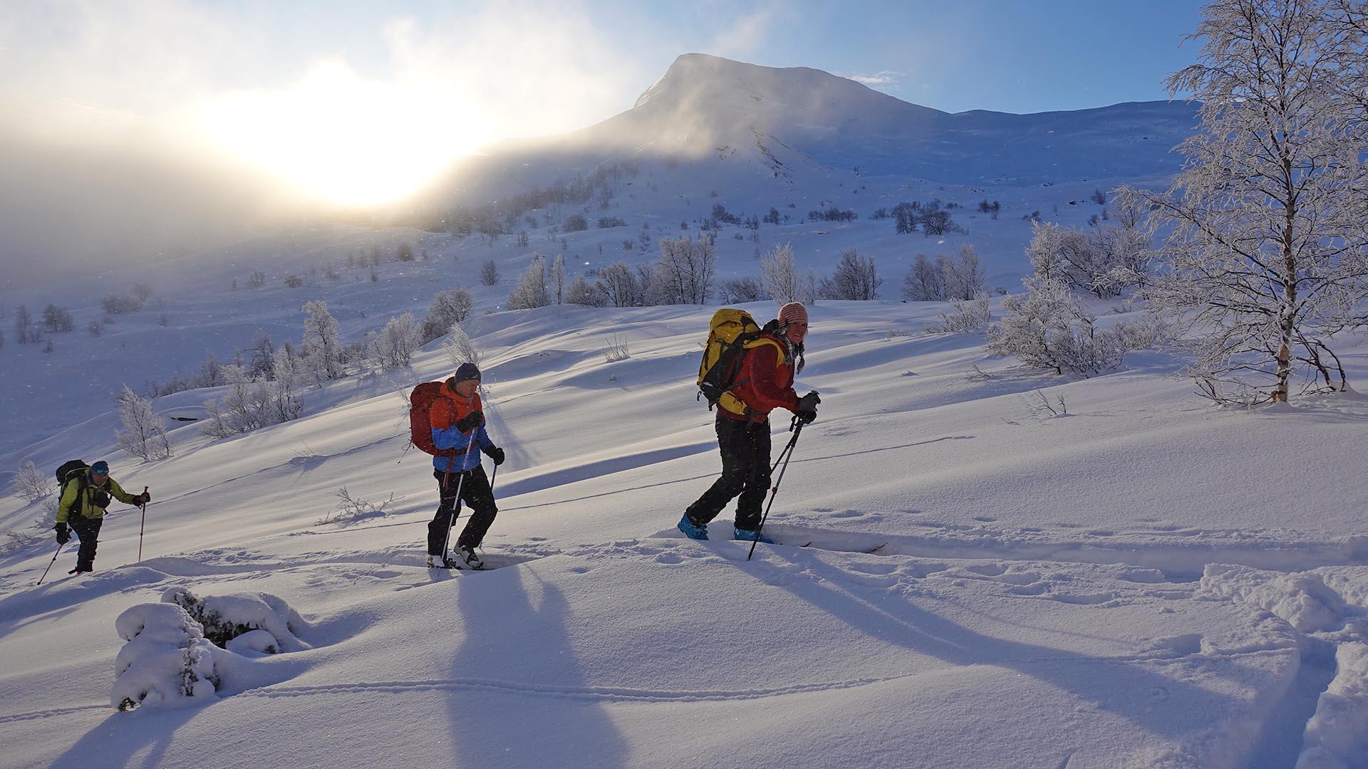 Gruppe på 3 på vei opp fjell på randoneeski en skyfri vinterdag.
