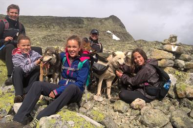 Beito Husky Tours - Husky Hike in the Mountains of Norway