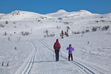 Lenningen and Synnfjell, Cross-country skiing