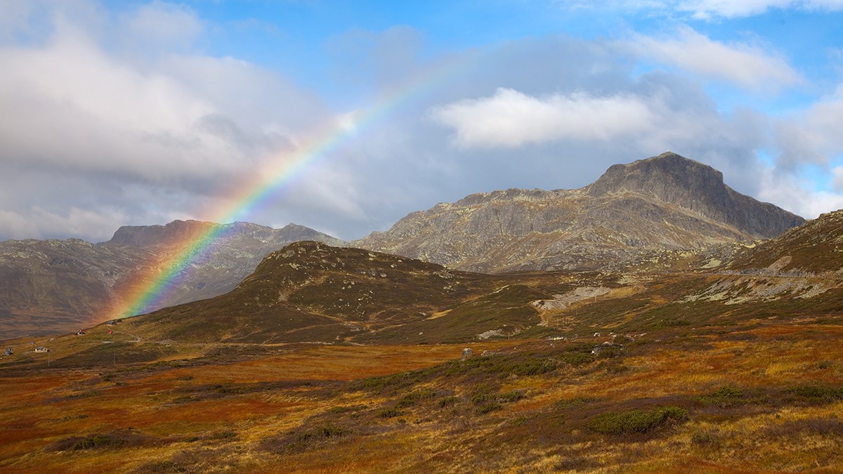 Bitihorn (1607 m) Valdres