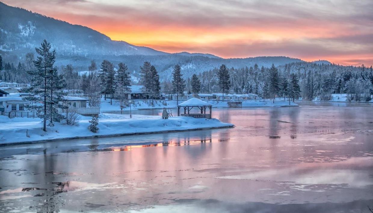 Product Image Product Image