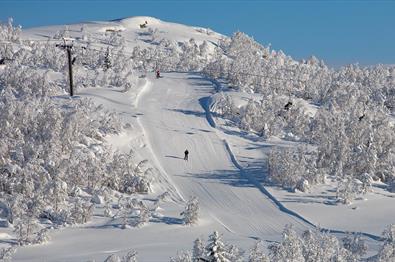 Beitostølen Skizentrum