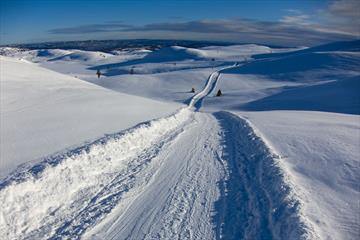 A cross-country skiing track stretches over an undulating high plateau as far as the eye can see.