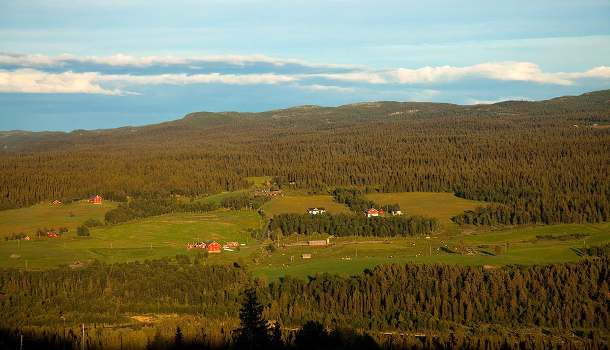 Aussicht von Brattstølen zu kleinen Höfen auf der anderen Talseite des Tisleidalens in der Abendsonne.