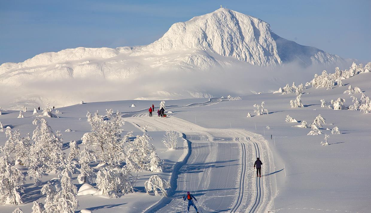 Cross-country skiers in freshly groomed tracks on a fairy-tale snowy day with a mountain in the background