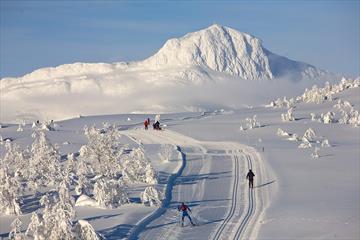 Langrennsløpere i nykjørte løyper med eventyrlig snø og fjell i bakgrunnen