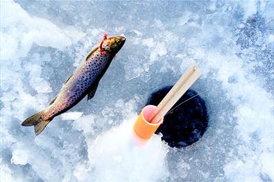 Fanget fisk ved hull i isen.