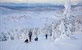 Familie på langrennstur, snødekkede trær og utsikt til fjelltopper i horistonten.