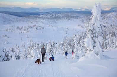 Familie på langrennstur, snødekkede trær og utsikt til fjelltopper i horistonten.