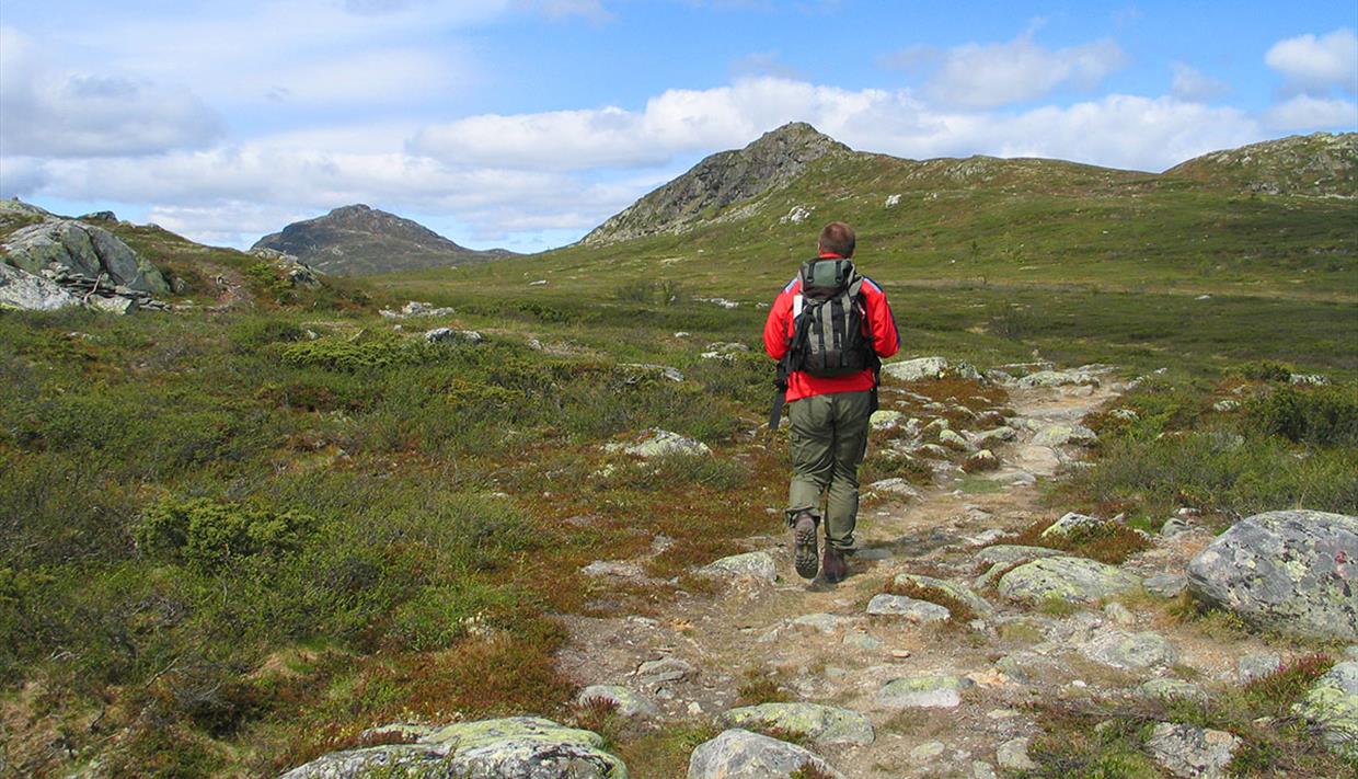 A hiker in a red jacket on a rocky path with a mountain in the background