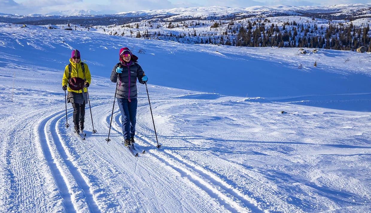 To personer på langrennski i Hedalen Skiløyper sitt løypenett som strekker seg over større høyfjellsområder.