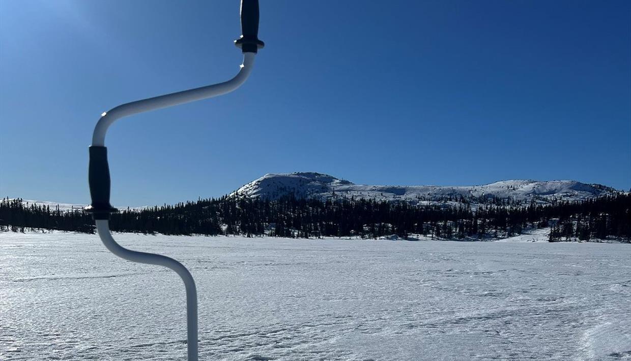 Product Image Product Image