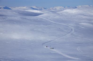 A cross-country skiiing track leads over a vast high plateau with mountains on the horizon.