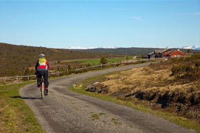 Syklist på stølsvei gjennom en stølsgrend med røde hus og snødekte fjell i horisonten.